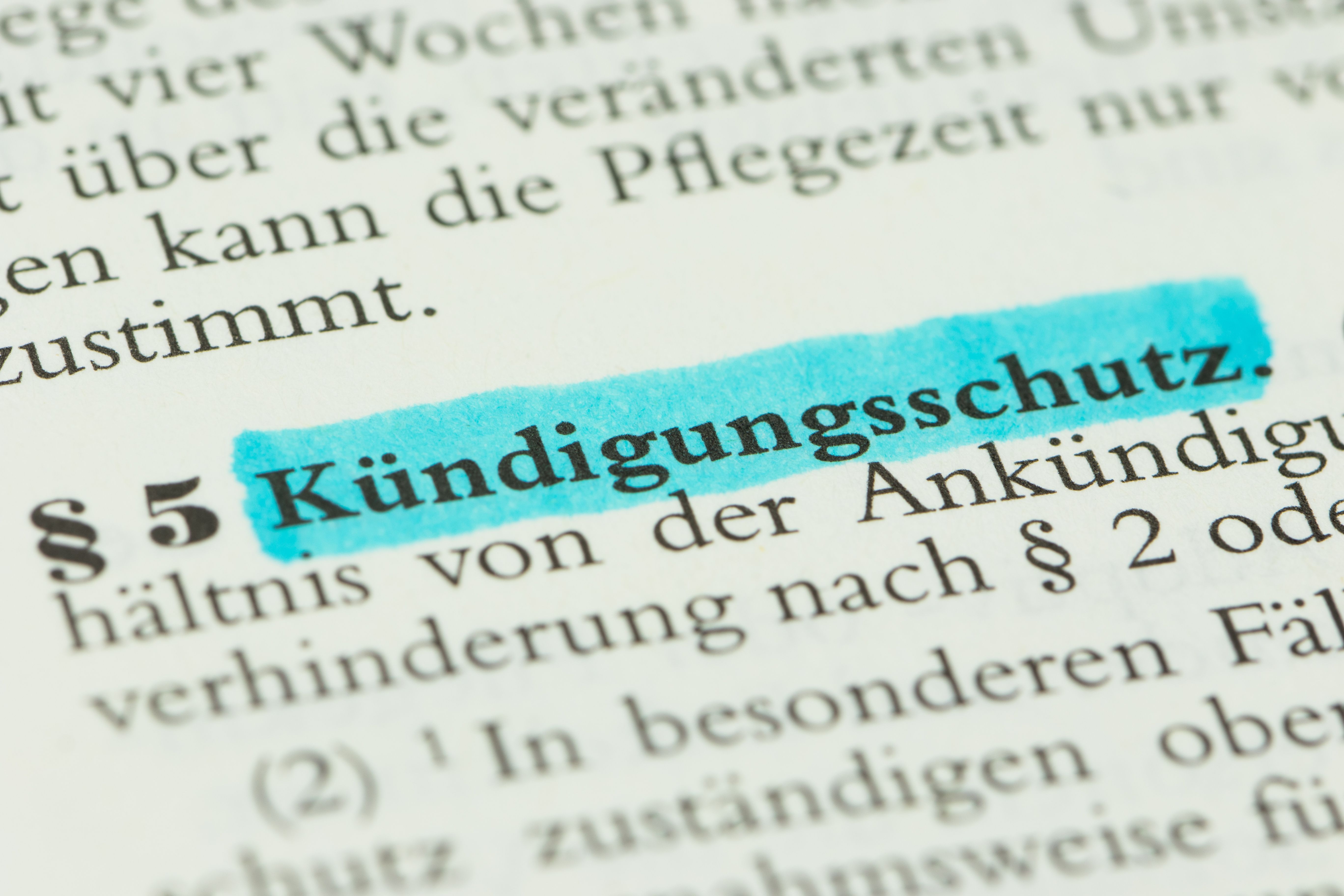 Markierter Begriff „Kündigungsschutz“ in einem deutschen Gesetzestext