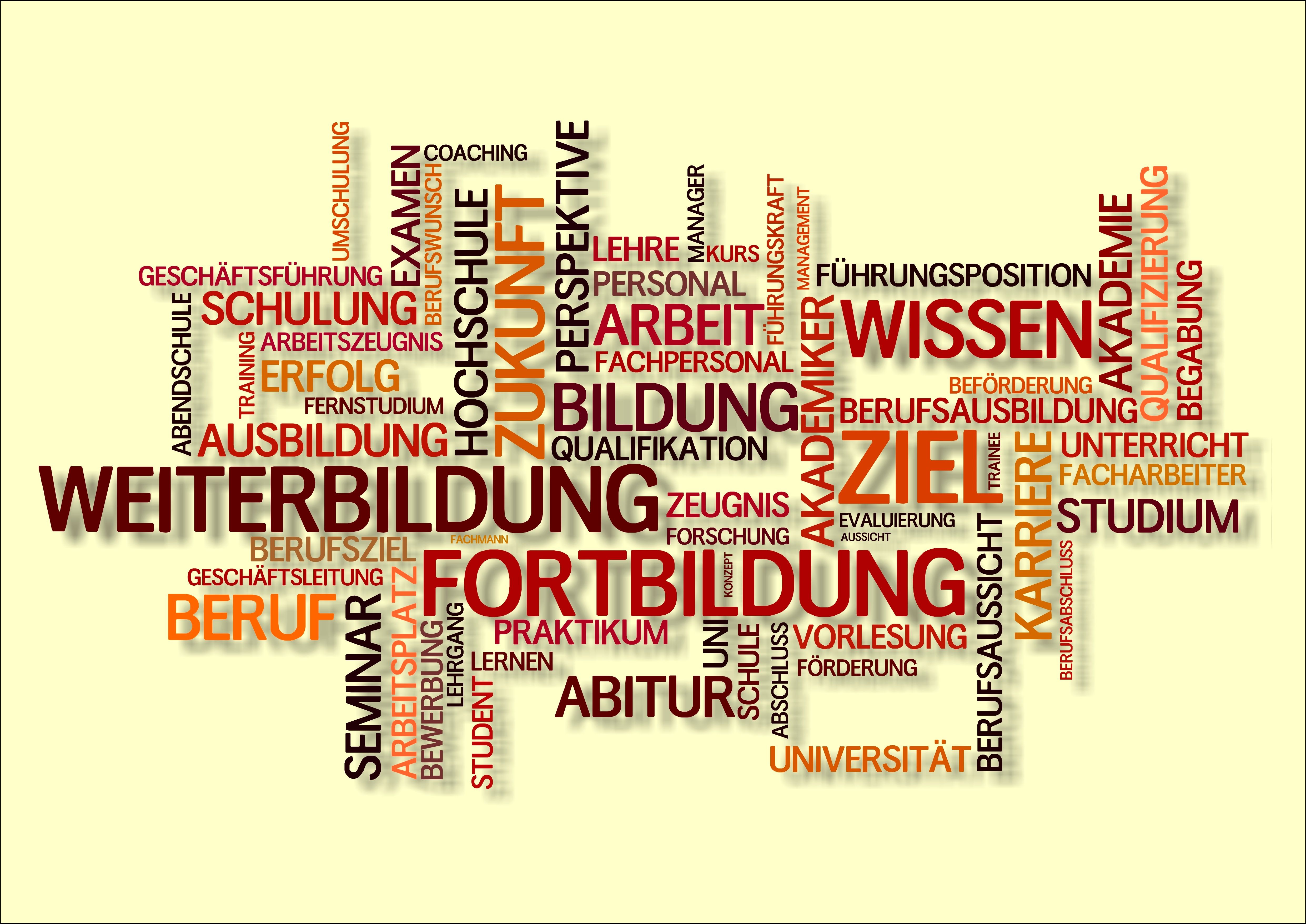 Wortwolke zu Weiterbildung, Umschulung und Karriere.